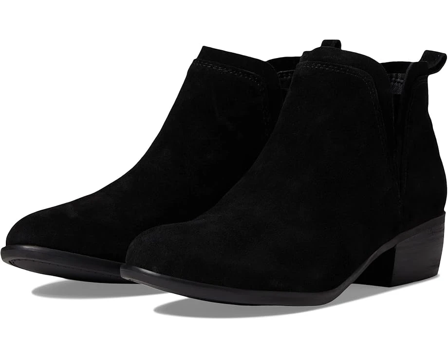 SKECHERS Texas - Rodeo Night